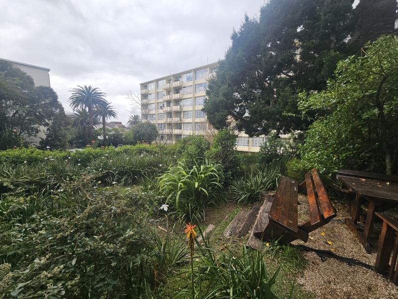 To Let 0 Bedroom Property for Rent in Rondebosch Western Cape